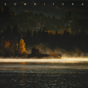 River Mist