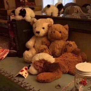 谈恋爱（翻自 王七七）