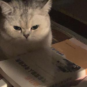 我多喜欢你，你会知道（片段版）