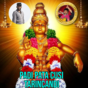 Padi Pata Chusi Tarincandi