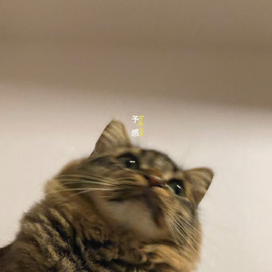 ドライブ イン モラトリアム