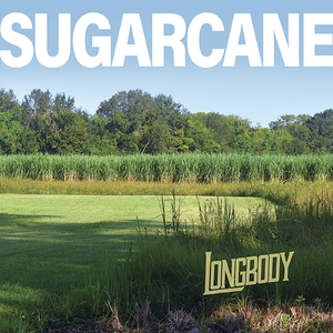 Sugarcane