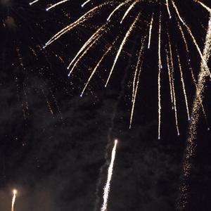 Glass Animals-The Other Side Of Paradise(Remix)