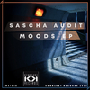 Sascha Audit - Moods (Original Mix)