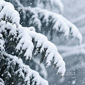 雪缓缓飘落