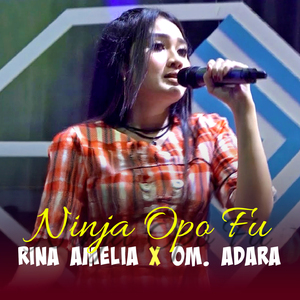 NINJA OPO FU