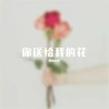 你送给我的花 (original Mix)