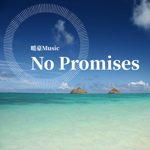 Cheat Codes / Demi Lovato-No Promises（暖豪Music remix）