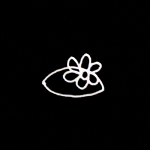 石の上、花が咲く