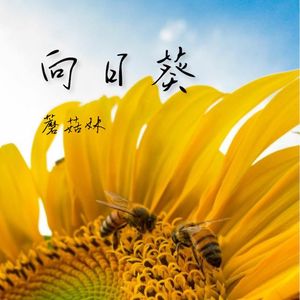 向日葵