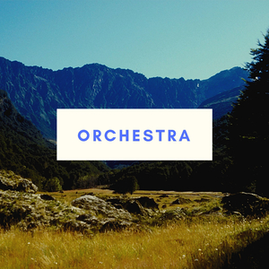 Orchestra