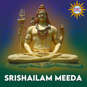 Srishailam Meeda