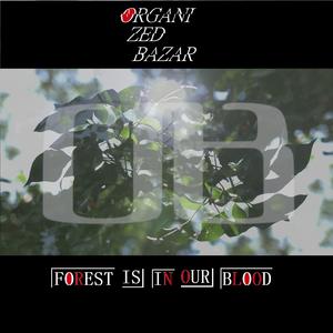 Forest Is in Our Blood