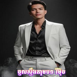 ចូលស្ទឹងតាមបទ (Version Remix )