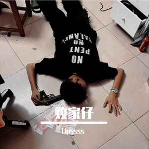 败家仔