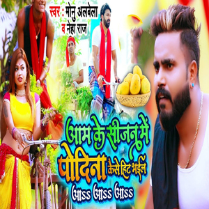 Aam Ke Sijan Me Pudina Kaise Hit Bhail