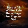 Yoga Sounds - All Day Rain