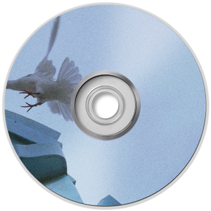 我在后山种思追