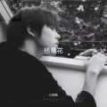 可望而不可即