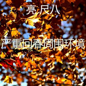 抚慰的回春回忆