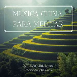 Oye mi Voz (Sonido de Gong)