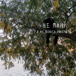 я не боюсь умереть