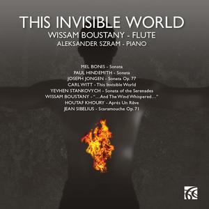 Sonata: IV. Finale - Moderato