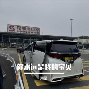 黄龄-叹（海棠 remix）