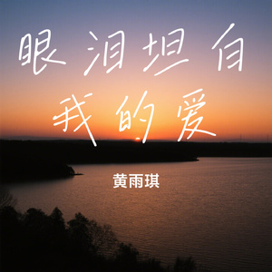 眼泪坦白我的爱