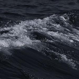 [FREE] Trap Beat Soul 'Plot'