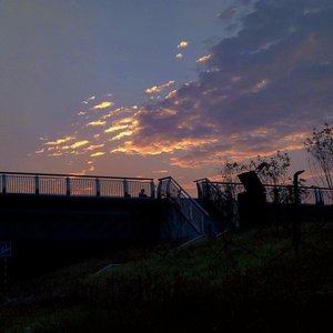 【生日活动】陆沉 · 称愿留光