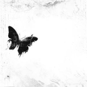 《南燕》-宇宁 (1)