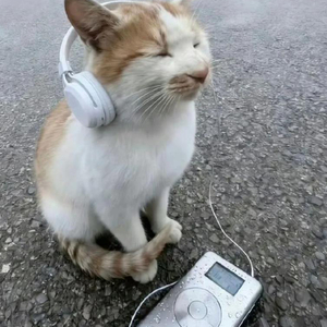 生活