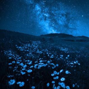 dreaming of you (feat. Zuurkey Beatz)