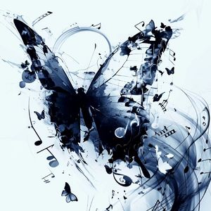 蓝蝴蝶（prod.by Morrow)