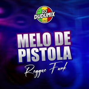 MELO DE PISTOLA vs REGGAE FUNK