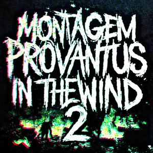 MONTAGEM PROVANTUS IN THE WIND 2