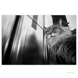 Back to Future(Prod.CHARL!E)