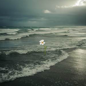 Sensitive souls find solace in their joys