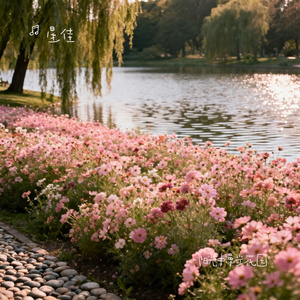 阳光中漫步花园