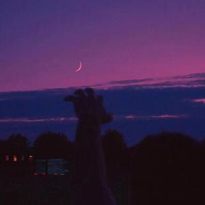 梁老师Tsong-不如不见面