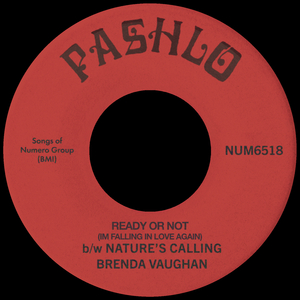 Ready or Not (I'm Falling In Love Again)