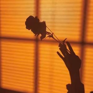 远处的钟声回荡在雨里