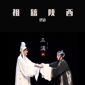 祖籍陕西（Prod.By 97Virus ）