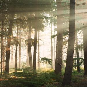 Supernatural Spirits