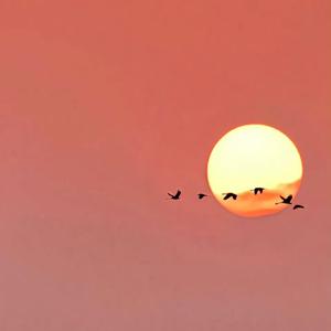 Star（反方向的钟）（女生版）