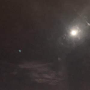 夜空中的小精灵