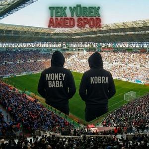 Tek Yürek Amed Spor