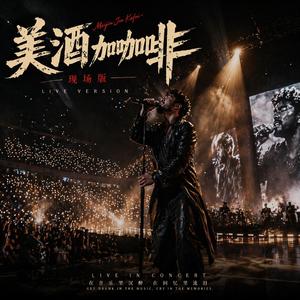 美酒加咖啡(现场版)