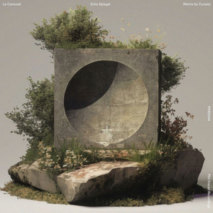 Echo Spiegel (Original)